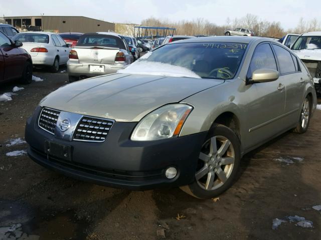 1N4BA41E74C844456 - 2004 NISSAN MAXIMA SE GOLD photo 2