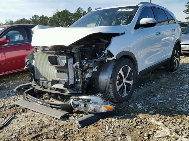 5XYPH4A1XHG276312 - 2017 KIA SORENTO EX Ağ foto 2