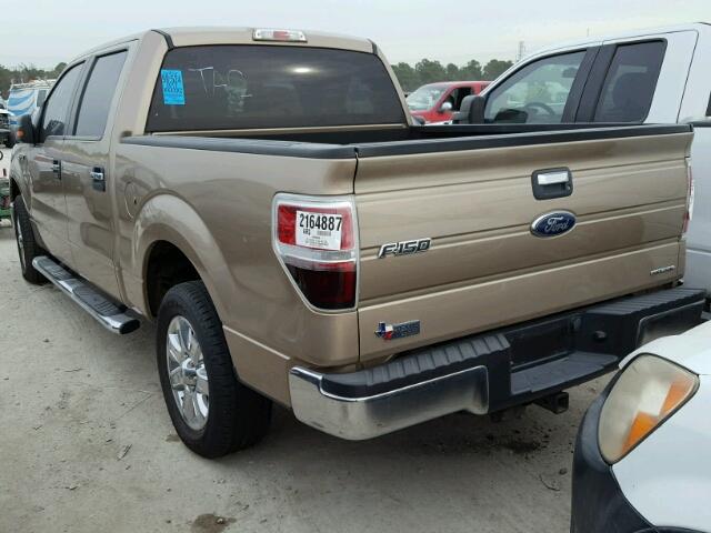 1FTFW1CF2DKD28643 - 2013 FORD F150 SUPER GOLD photo 3