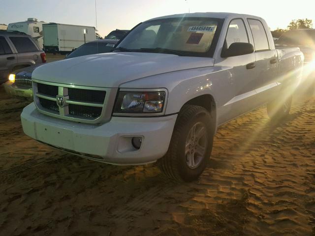 1D7CE3GK9AS233605 - 2010 DODGE DAKOTA SXT WHITE photo 2