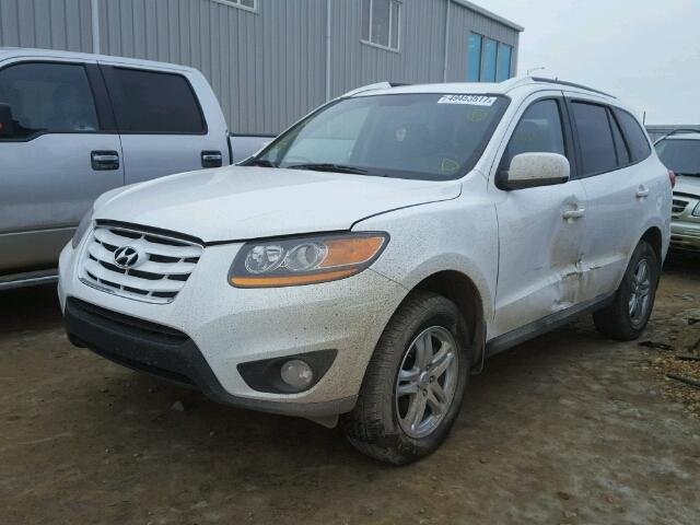 5XYZG4AG0BG027881 - 2011 HYUNDAI SANTA FE G WHITE photo 2