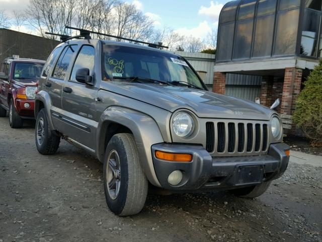 1J4GL48K54W180558 - 2004 JEEP LIBERTY SP BEIGE photo 1