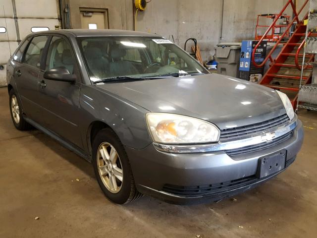 1G1ZT64844F183562 - 2004 CHEVROLET MALIBU MAX ნაცრისფერი ფოტო 1