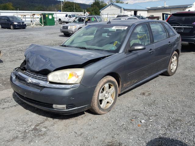 1G1ZU64864F226750 - 2004 CHEVROLET MALIBU MAX ნაცრისფერი ფოტო 2