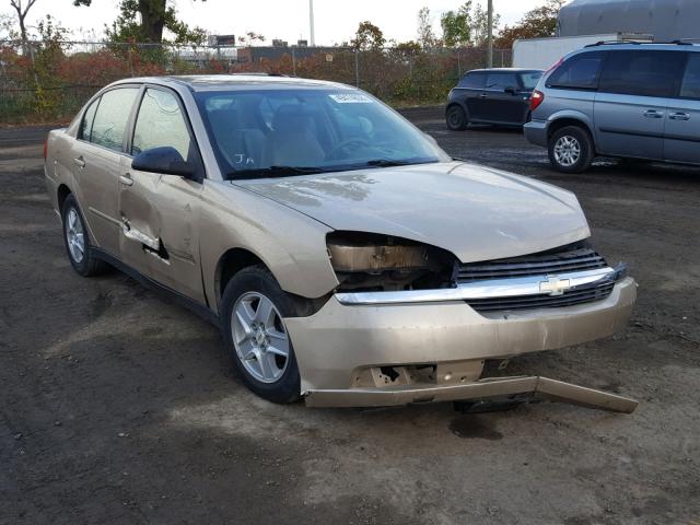 1G1ZT52825F172655 - 2005 CHEVROLET MALIBU LS ბეჟი ფოტო 1