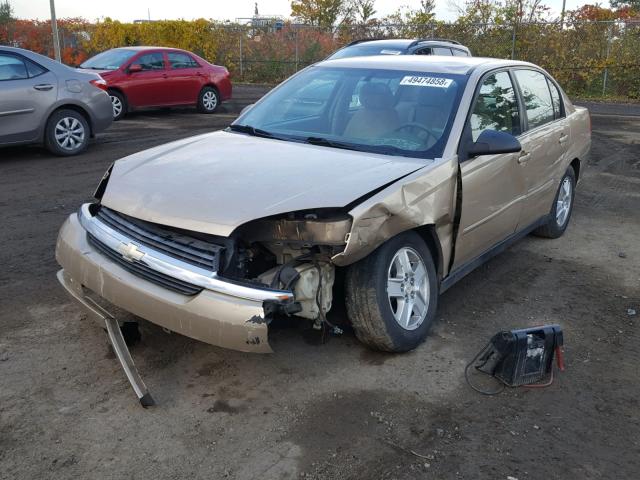 1G1ZT52825F172655 - 2005 CHEVROLET MALIBU LS ბეჟი ფოტო 2