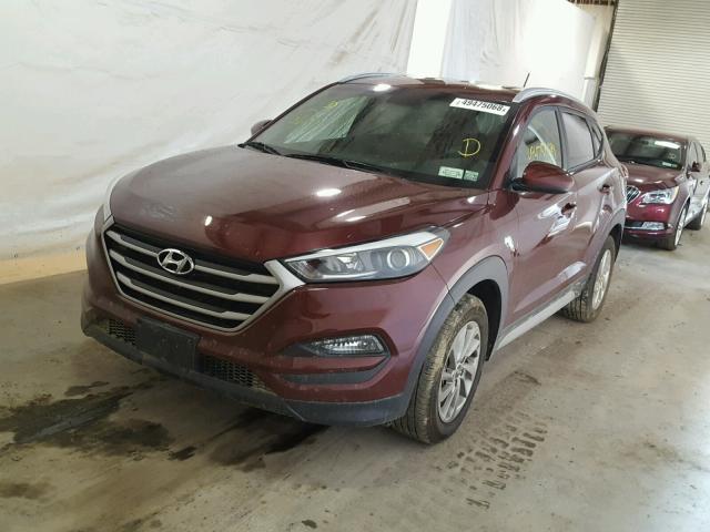 KM8J3CA42HU496269 - 2017 HYUNDAI TUCSON LIM RED photo 2