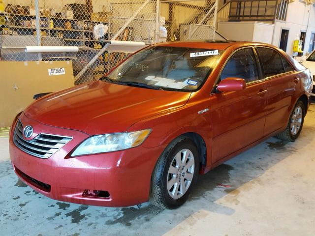 4T1BB46K48U059006 - 2008 TOYOTA CAMRY HYBR RED photo 2