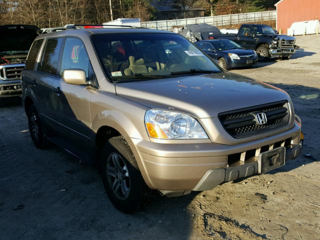 2HKYF18493H543028 - 2003 HONDA PILOT EX GOLD photo 1