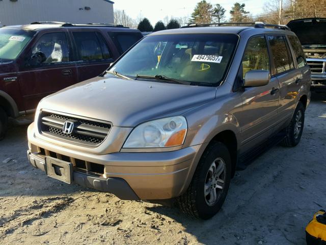 2HKYF18493H543028 - 2003 HONDA PILOT EX GOLD photo 2