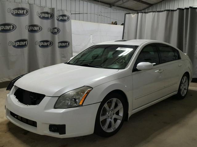 1N4BA41E28C833919 - 2008 NISSAN MAXIMA SE WHITE photo 2