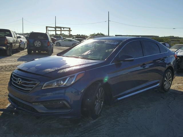 5NPE34AF2GH403756 - 2016 HYUNDAI SONATA SPO BLUE photo 2