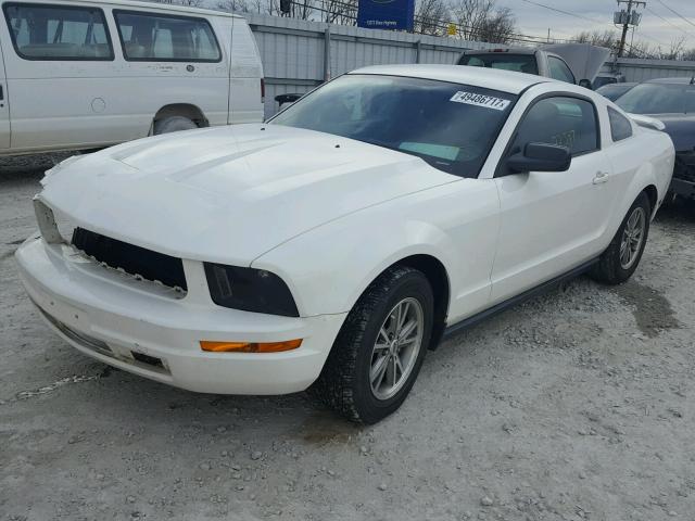 1ZVHT80NX55257548 - 2005 FORD MUSTANG WHITE photo 2