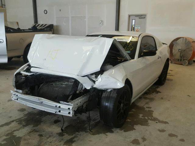 1ZVBP8AM2E5231302 - 2014 FORD MUSTANG WHITE photo 2
