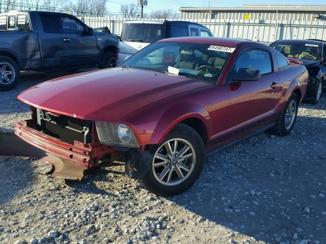 1ZVFT80N155204048 - 2005 FORD MUSTANG RED photo 2