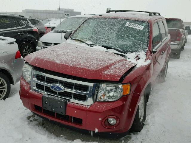 1FMCU0DG9BKB93504 - 2011 FORD ESCAPE XLT RED photo 2