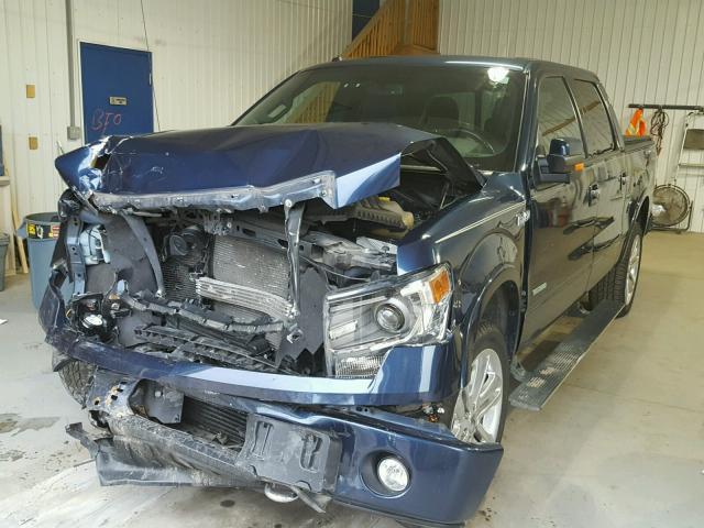 1FTFW1ET8EFA04593 - 2014 FORD F150 SUPER BLUE photo 2