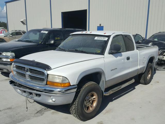 1B7GG22Y8XS202933 - 1999 DODGE DAKOTA WHITE photo 2