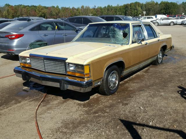 1FABP35F4BU162766 - 1981 FORD LTD CROWN TWO TONE photo 2