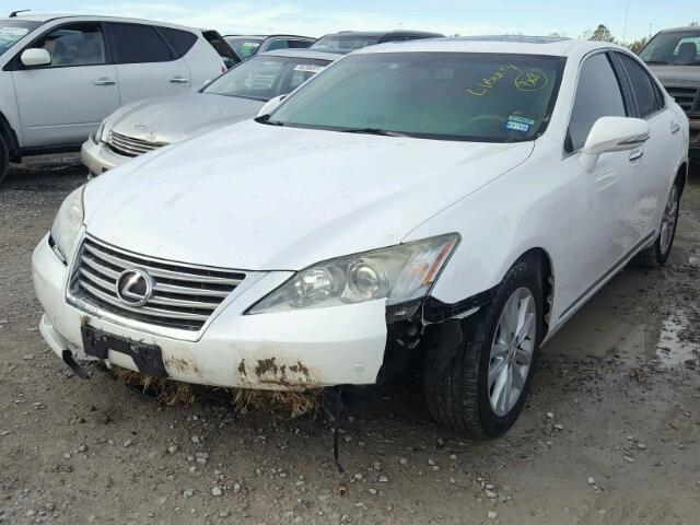 JTHBK1EG9A2381740 - 2010 LEXUS ES 350 WHITE photo 2