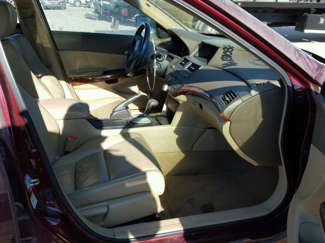 1HGCP26899A131082 - 2009 HONDA ACCORD EXL BURGUNDY photo 5