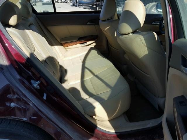 1HGCP26899A131082 - 2009 HONDA ACCORD EXL BURGUNDY photo 6