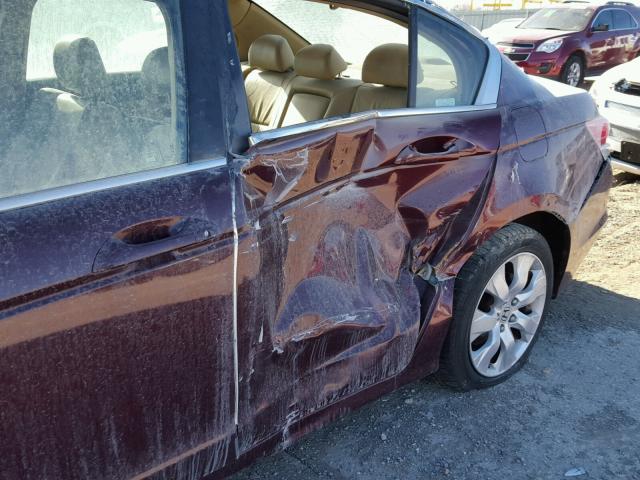 1HGCP26899A131082 - 2009 HONDA ACCORD EXL BURGUNDY photo 9