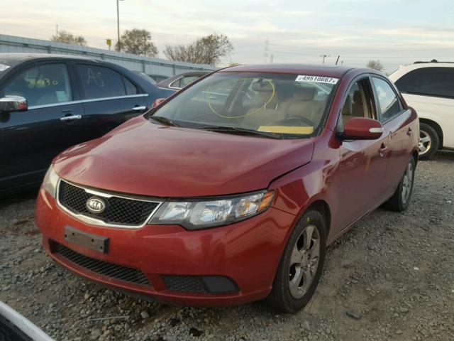 KNAFU4A20A5116337 - 2010 KIA FORTE EX RED photo 2