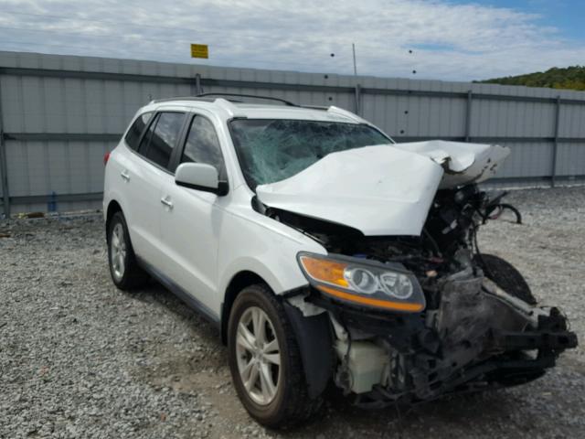 5XYZKDAG5BG045985 - 2011 HYUNDAI SANTA FE L WHITE photo 1