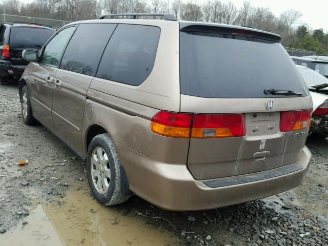 5FNRL180X3B144685 - 2003 HONDA ODYSSEY EX BROWN photo 3