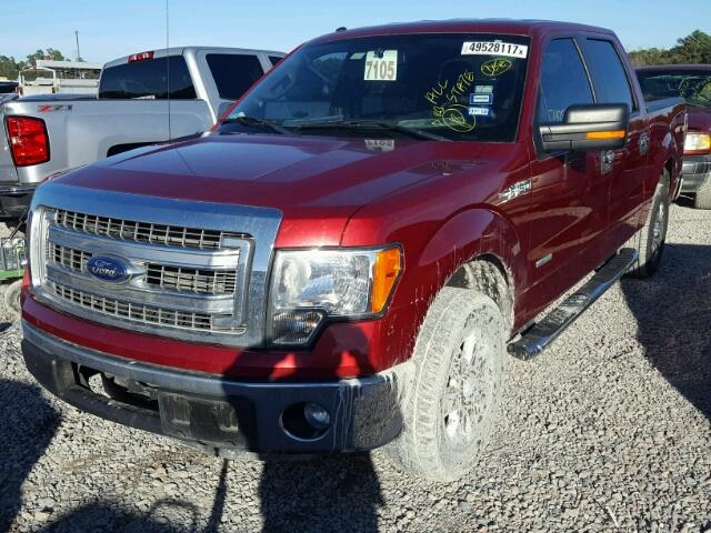 1FTFW1CTXDKG46953 - 2013 FORD F150 SUPER RED photo 2