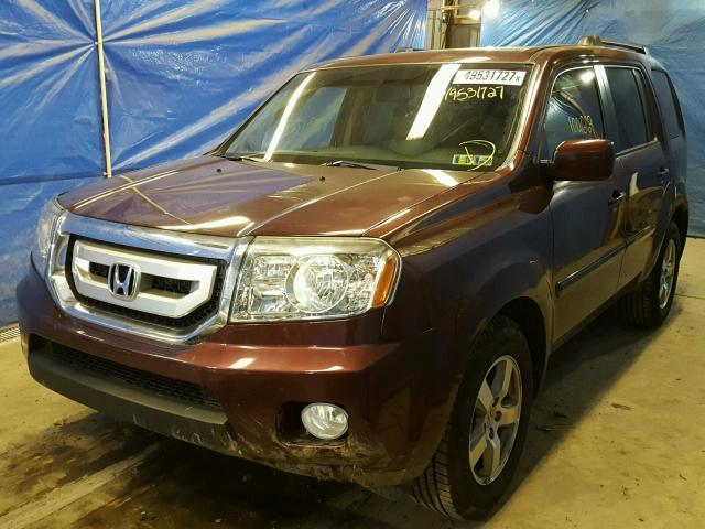 5FNYF4H59BB016839 - 2011 HONDA PILOT EXL BURGUNDY photo 2