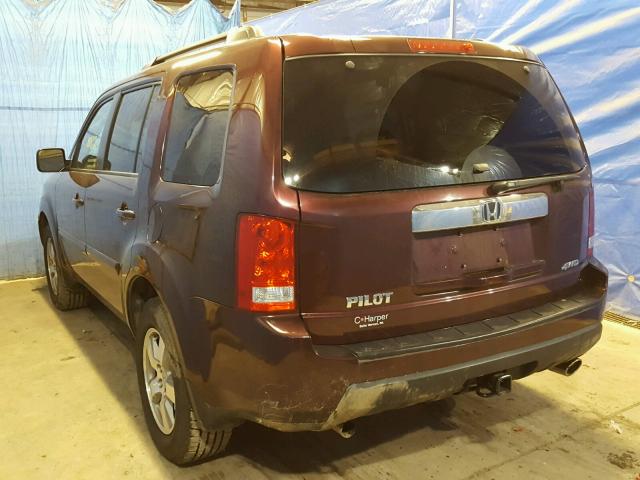 5FNYF4H59BB016839 - 2011 HONDA PILOT EXL BURGUNDY photo 3