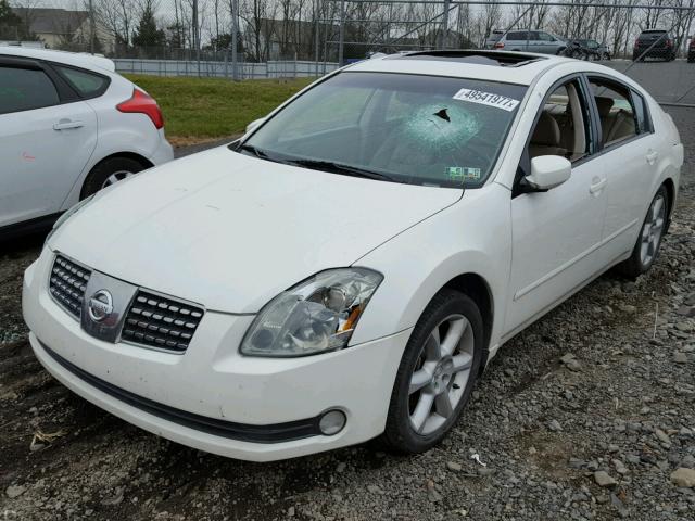 1N4BA41E54C858839 - 2004 NISSAN MAXIMA SE WHITE photo 2