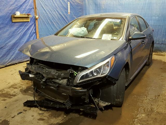 5NPE34AF4FH083452 - 2015 HYUNDAI SONATA SPO BLUE photo 2