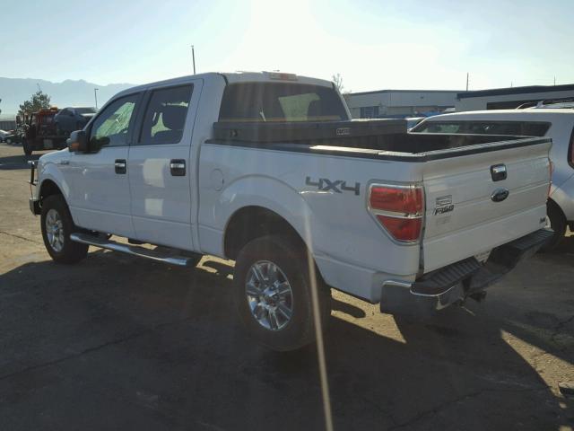 1FTFW1EV1AFA35616 - 2010 FORD F150 SUPER WHITE photo 3