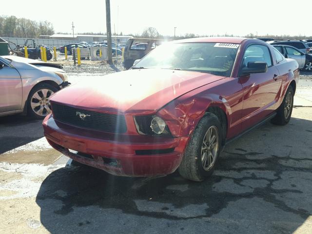 1ZVFT80N255117517 - 2005 FORD MUSTANG BURGUNDY photo 2