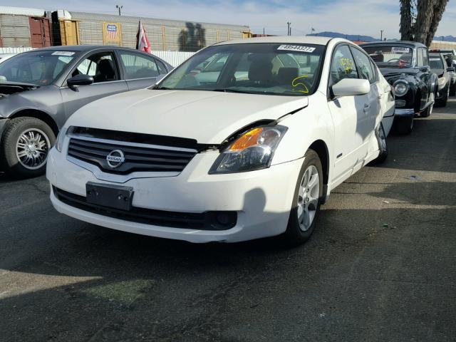 1N4CL21E19C164935 - 2009 NISSAN ALTIMA HYB WHITE photo 2