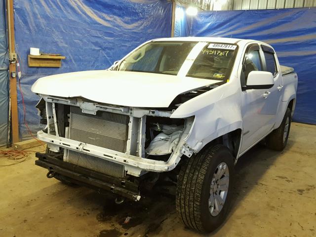 1GCGTBE3XF1270179 - 2015 CHEVROLET COLORADO L WHITE photo 2