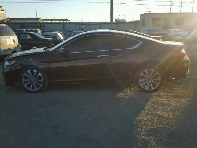 1HGCT2B8XEA006135 - 2014 HONDA ACCORD EXL Qəhvəyi foto 9