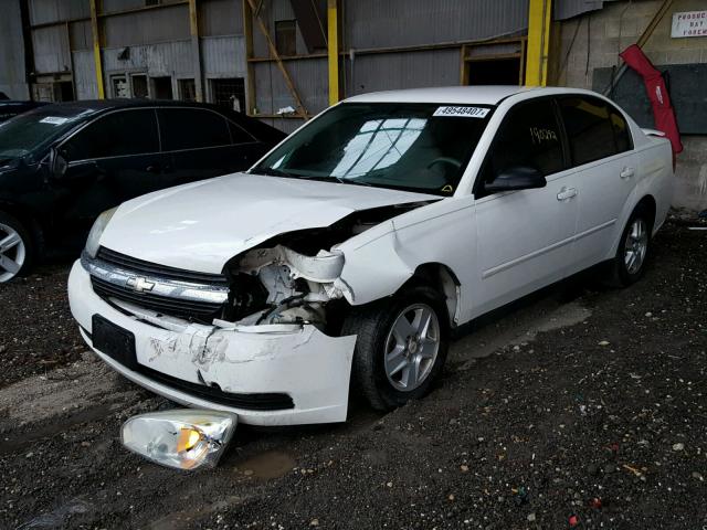 1G1ZT52865F262469 - 2005 CHEVROLET MALIBU LS WHITE photo 2