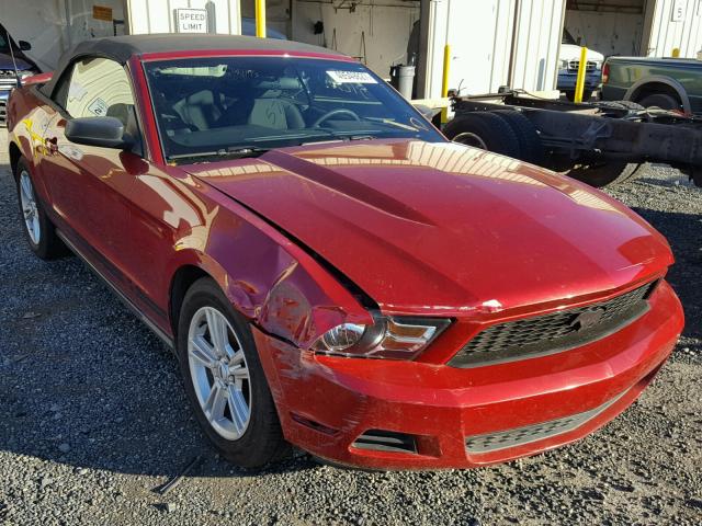 1ZVBP8EN0A5158749 - 2010 FORD MUSTANG RED photo 1