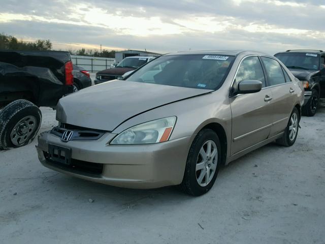 1HGCM66535A023668 - 2005 HONDA ACCORD EX GOLD photo 2