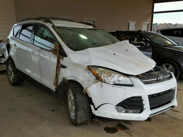 1FMCU0GX5DUD17111 - 2013 FORD ESCAPE SE WHITE photo 1