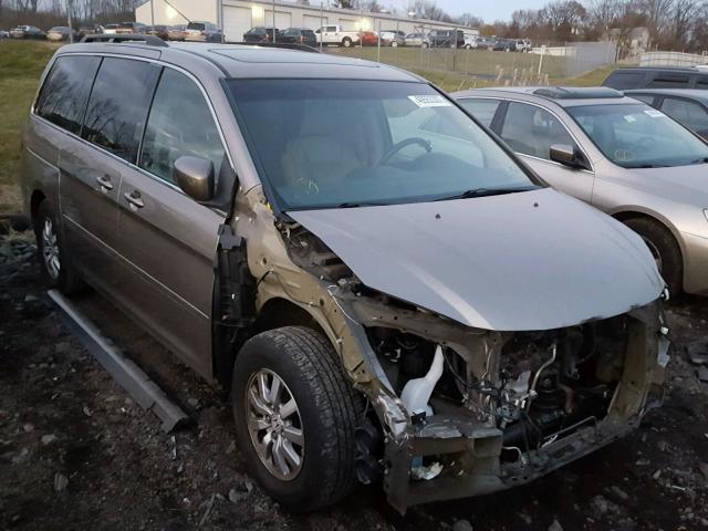 5FNRL38729B003921 - 2009 HONDA ODYSSEY EX GOLD photo 1