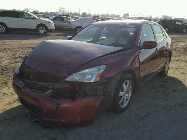 1HGCM66585A066970 - 2005 HONDA ACCORD EX BURGUNDY photo 2