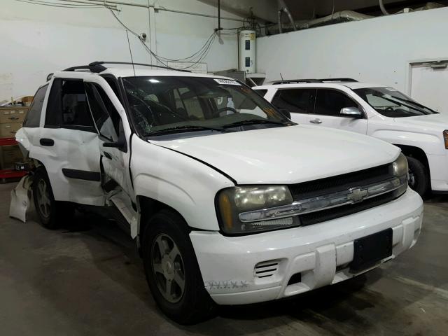 1GNDS13S842159686 - 2004 CHEVROLET TRAILBLAZE WHITE photo 1