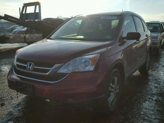 5J6RE4H74AL005844 - 2010 HONDA CR-V EXL RED photo 2