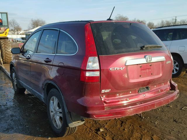 5J6RE4H74AL005844 - 2010 HONDA CR-V EXL 红色 照片 3