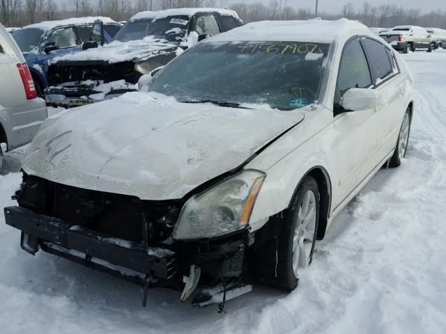 1N4BA41E48C805734 - 2008 NISSAN MAXIMA SE WHITE photo 2